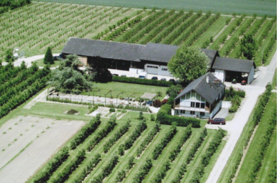 Obst- und Weinbaubetrieb im Kanton Waadt
