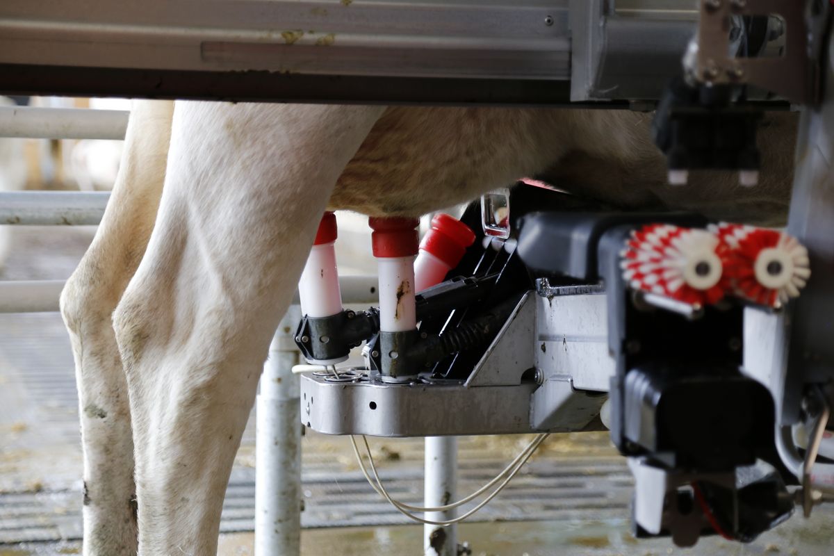 Ertragswert hat, was Einkommen bringt