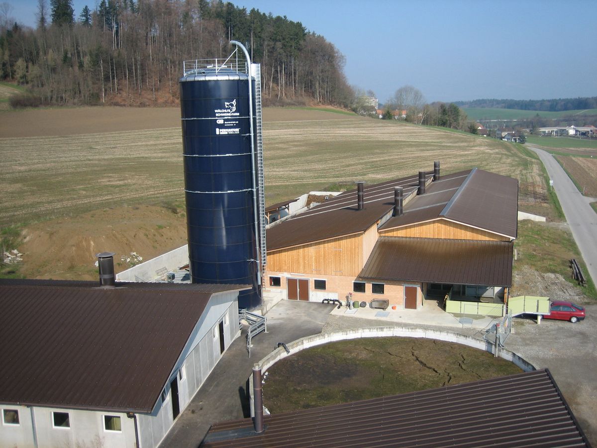 Wie gründet man eine GmbH für einen Landwirtschaftsbetrieb?