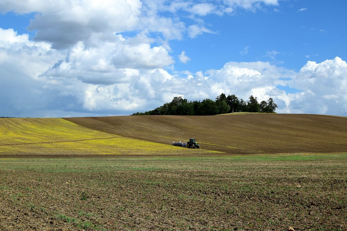 Der Weg zu einer Pachterstreckung